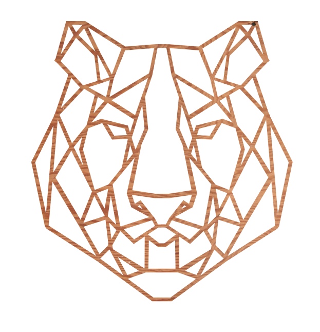 Tigris Geometriai Vektor